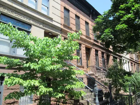 A Park Place row house in Brooklyn, its stoop climbing past the garden-level windows under a tree