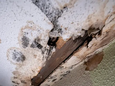 A stained ceiling corner sagging and splitting where water soaked through it