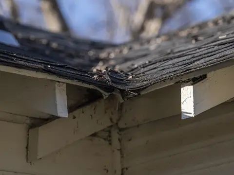 The broken edge of a ceiling that gave way, the wet boards above showing through