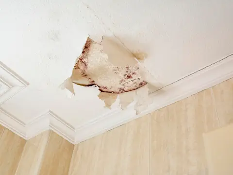 A ceiling corner where wet plaster has bubbled and torn open over a white crown molding
