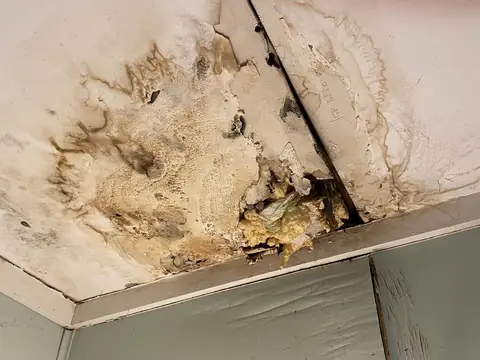 A brown water ring spreading across a white ceiling along a cracked seam