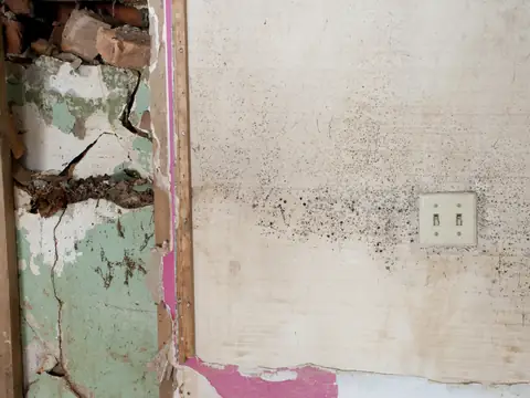 Dark mold spotting across a painted wall beside a light switch and an opened-up wall cavity