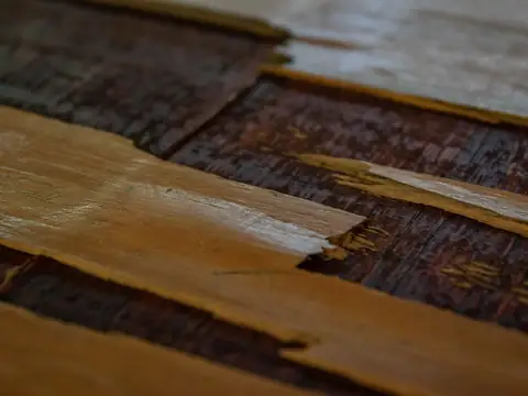 Worn wooden floorboards lifting and splitting along their edges